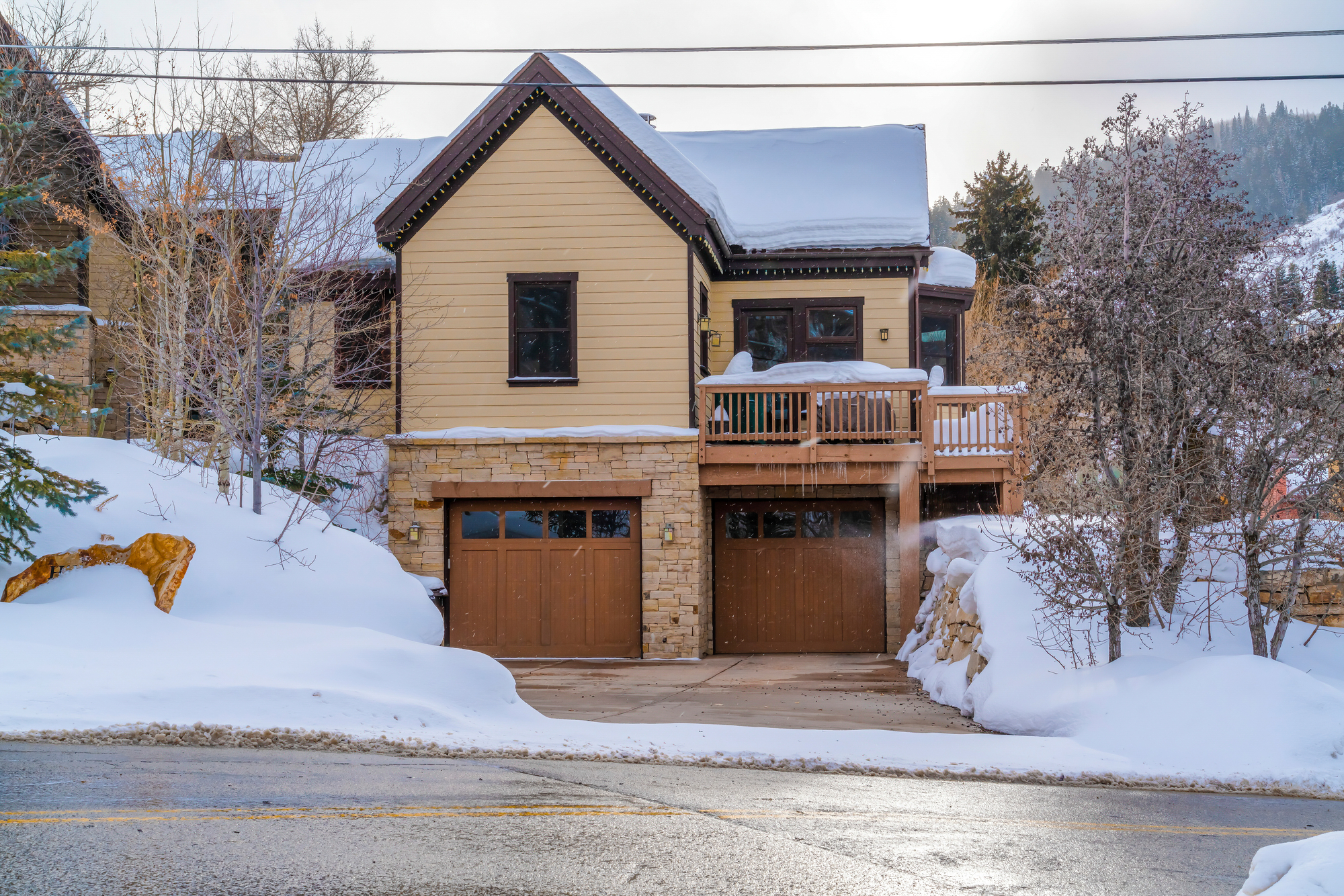 Garage door material in winter.